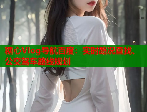 糖心Vlog导航百度：实时路况查找、公交驾车路线规划