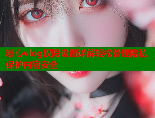 糖心vlog权限设置详解轻松管理隐私保护内容安全