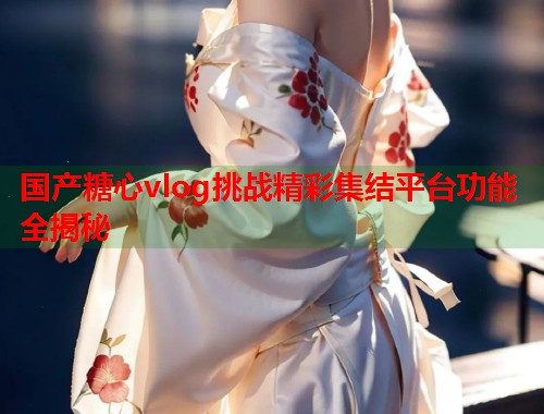 国产糖心vlog挑战精彩集结平台功能全揭秘  第2张