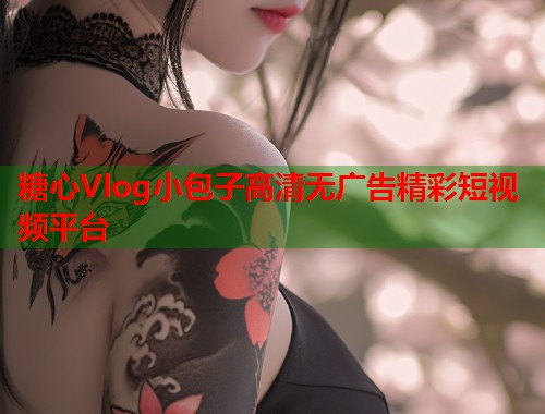 糖心Vlog小包子高清无广告精彩短视频平台